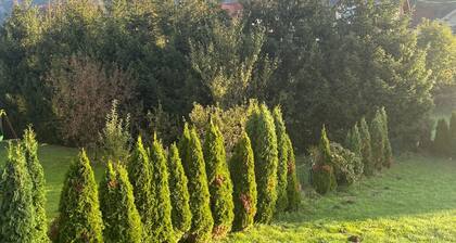 Meadow Tranquil Apartments with Evergreen Garden - Two Bedroom Apartment
