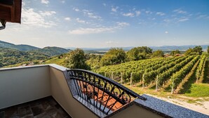 Un balcone con ringhiera in ferro battuto che si affaccia su una vigna.