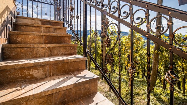Una scala con ringhiere in metallo decorate conduce a una terrazza con vista su un vigneto.