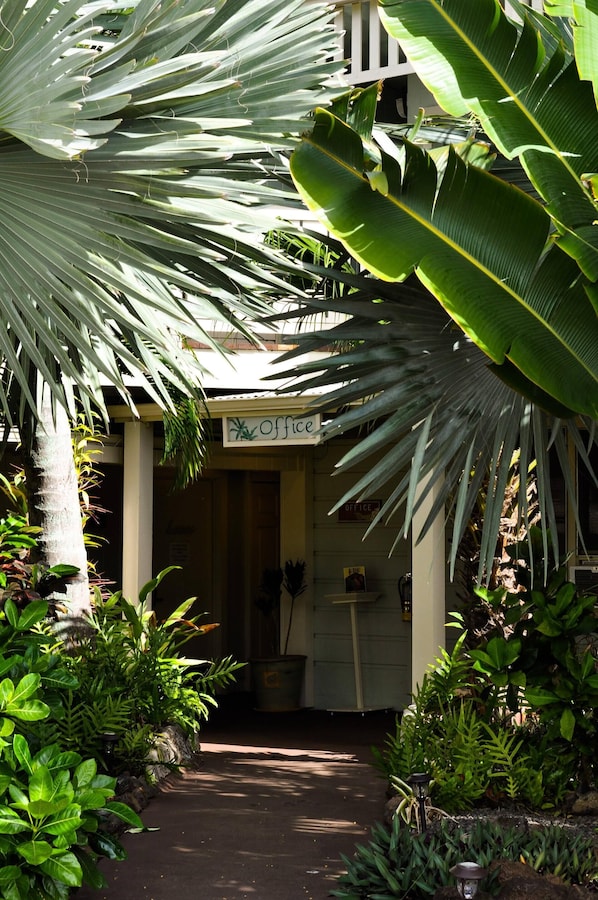 Basic Studio | Exterior