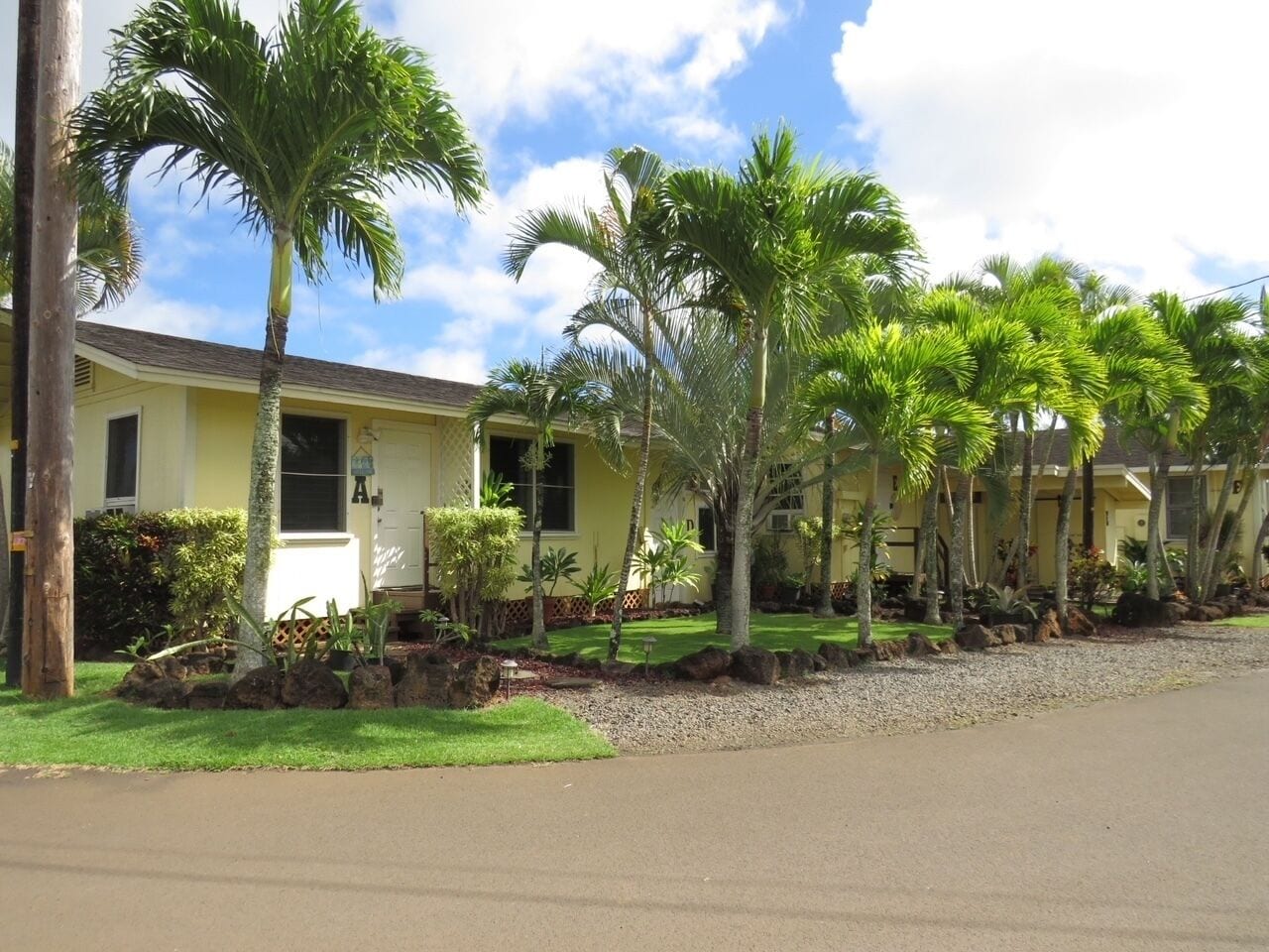 A row of yellow buildings with palm trees and a gravel driveway.