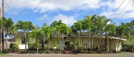 A two-story yellow building with a flat roof, surrounded by palm trees.