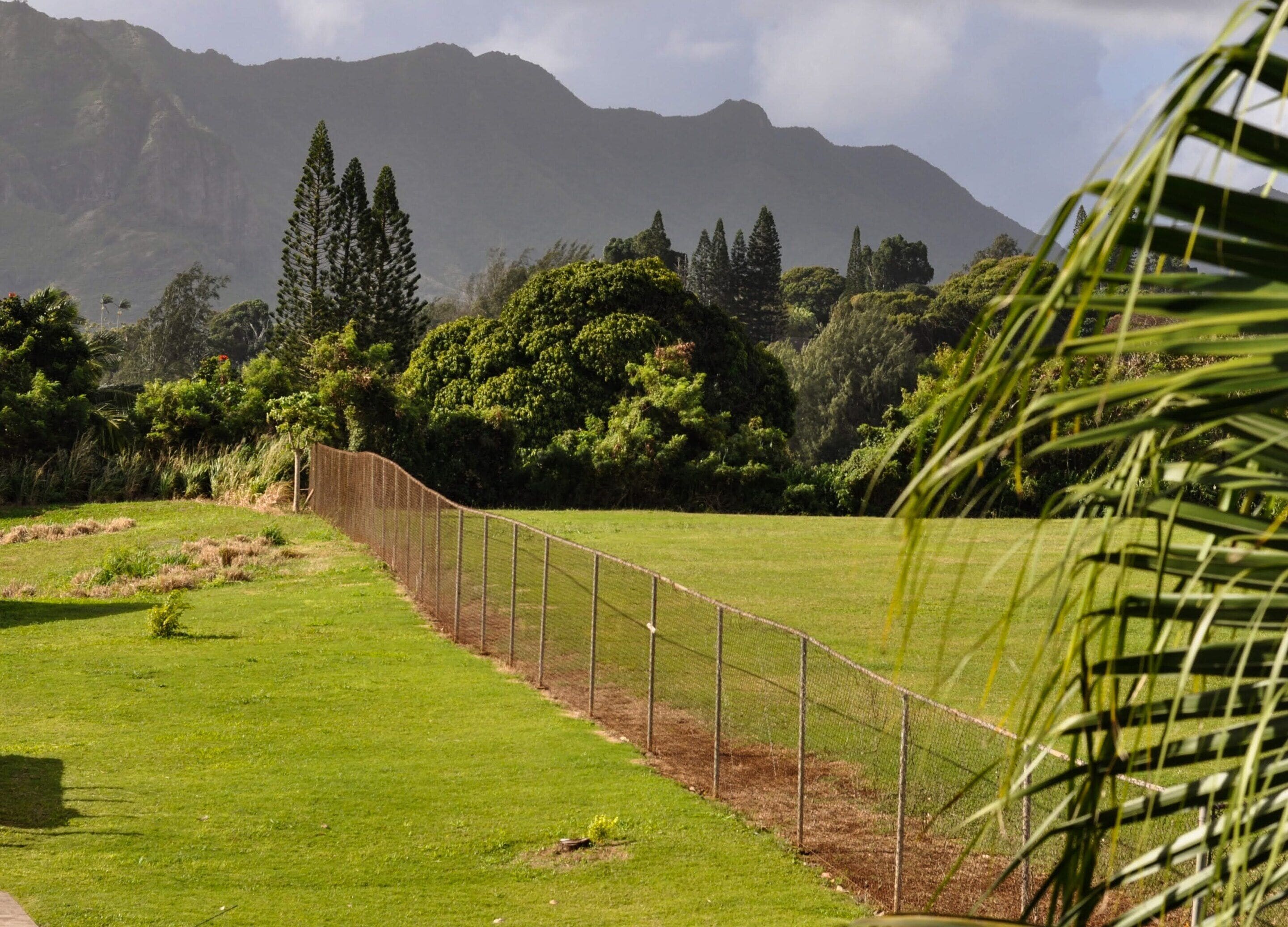 A fenced grassy area with a mountain backdrop.