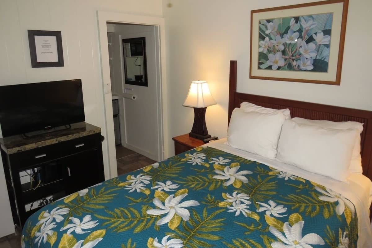 Una habitación de hotel con una cama, televisión, lámpara y un cuadro en la pared.
