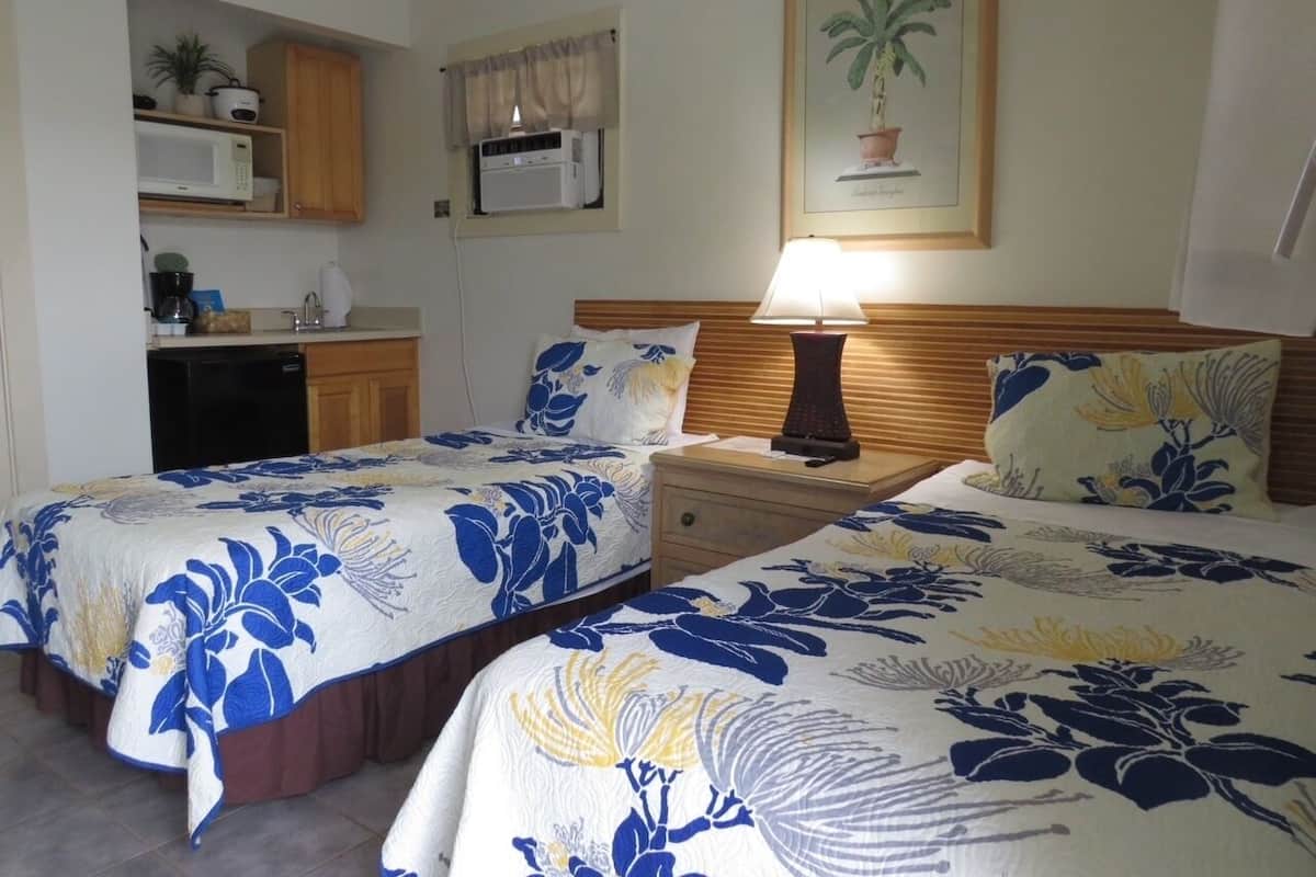 Habitación de hotel con dos camas, una mesita de noche con lámpara, una kitchenette pequeña con microondas, y una planta enmacada en la pared.