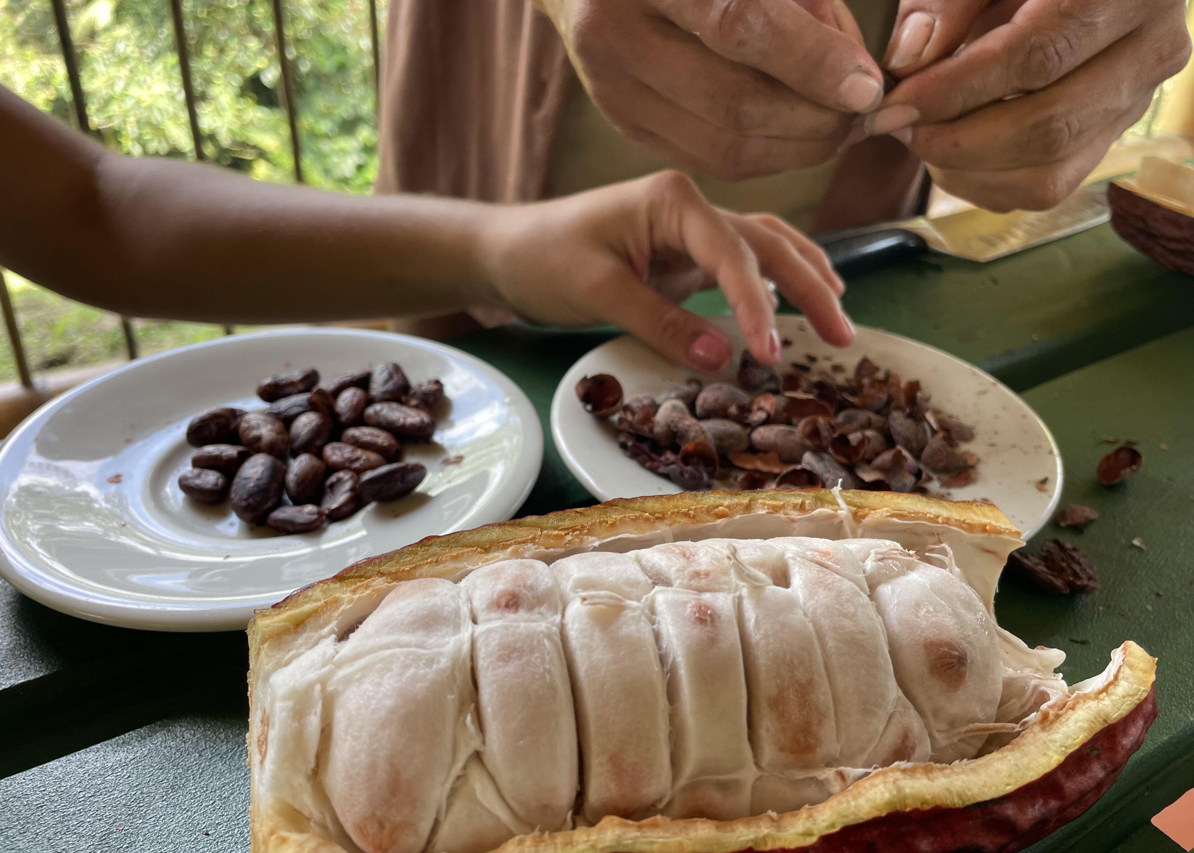 餐飲