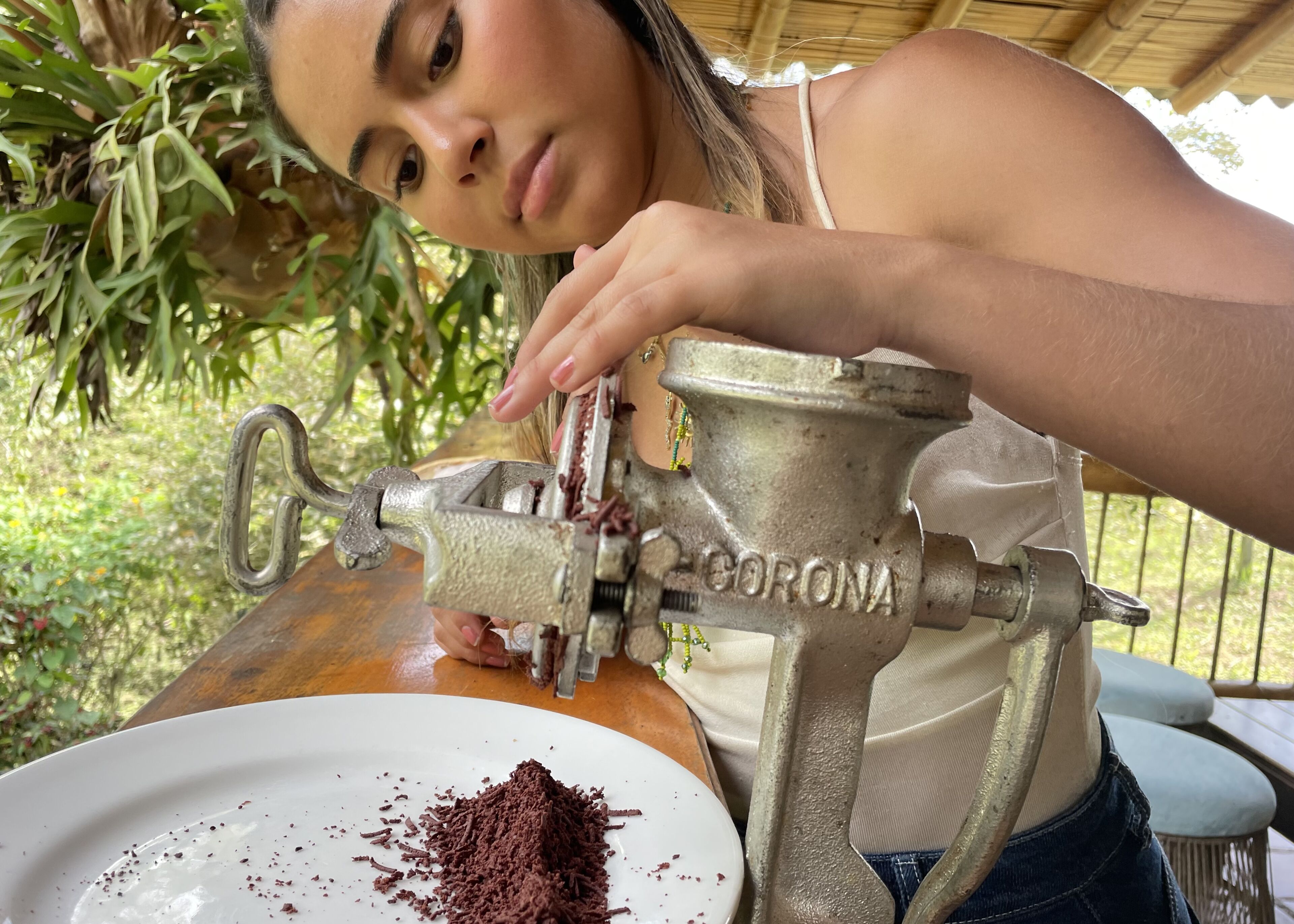A person using a manual grinder to process cacao beans.
