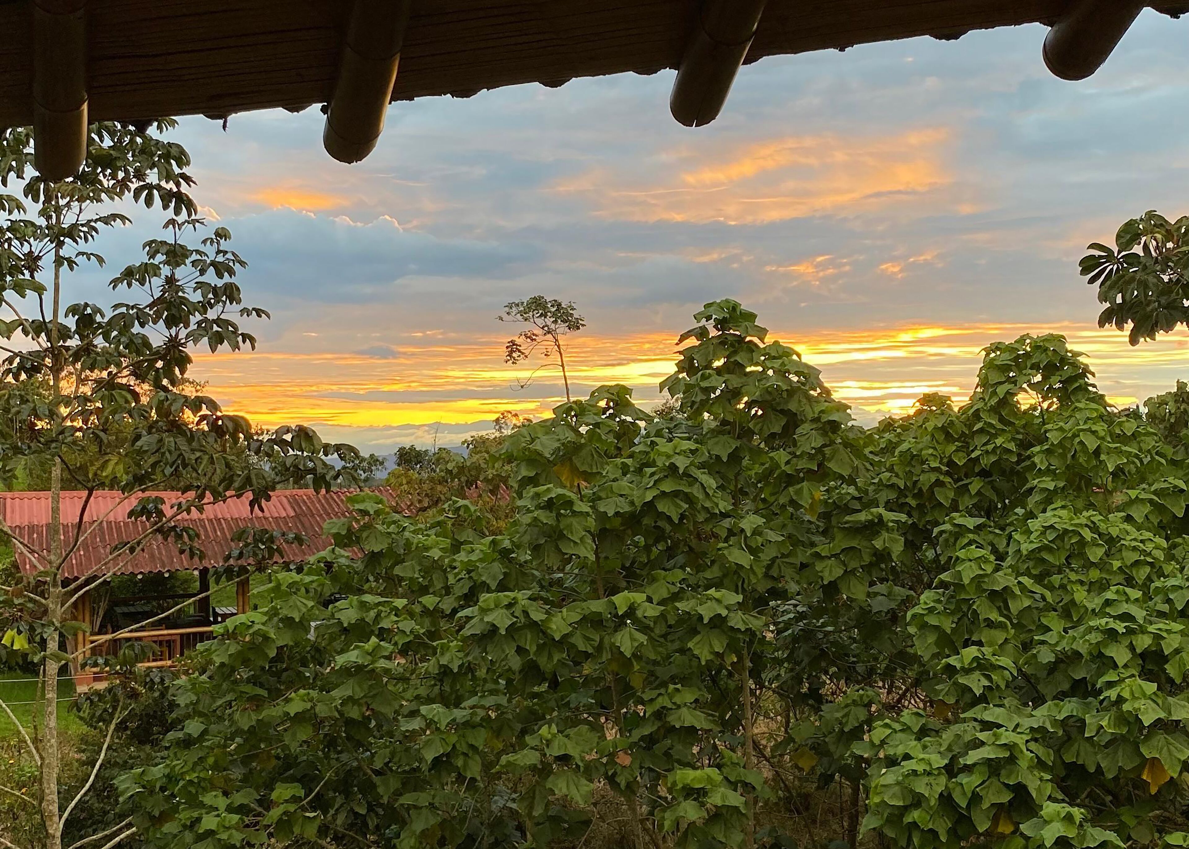 Vista de una casa con techo rojo y un jardín en primer plano.