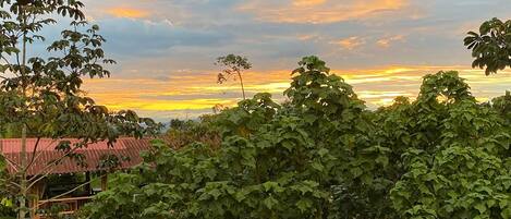 Vista de una casa con techo rojo y un jardín en primer plano.