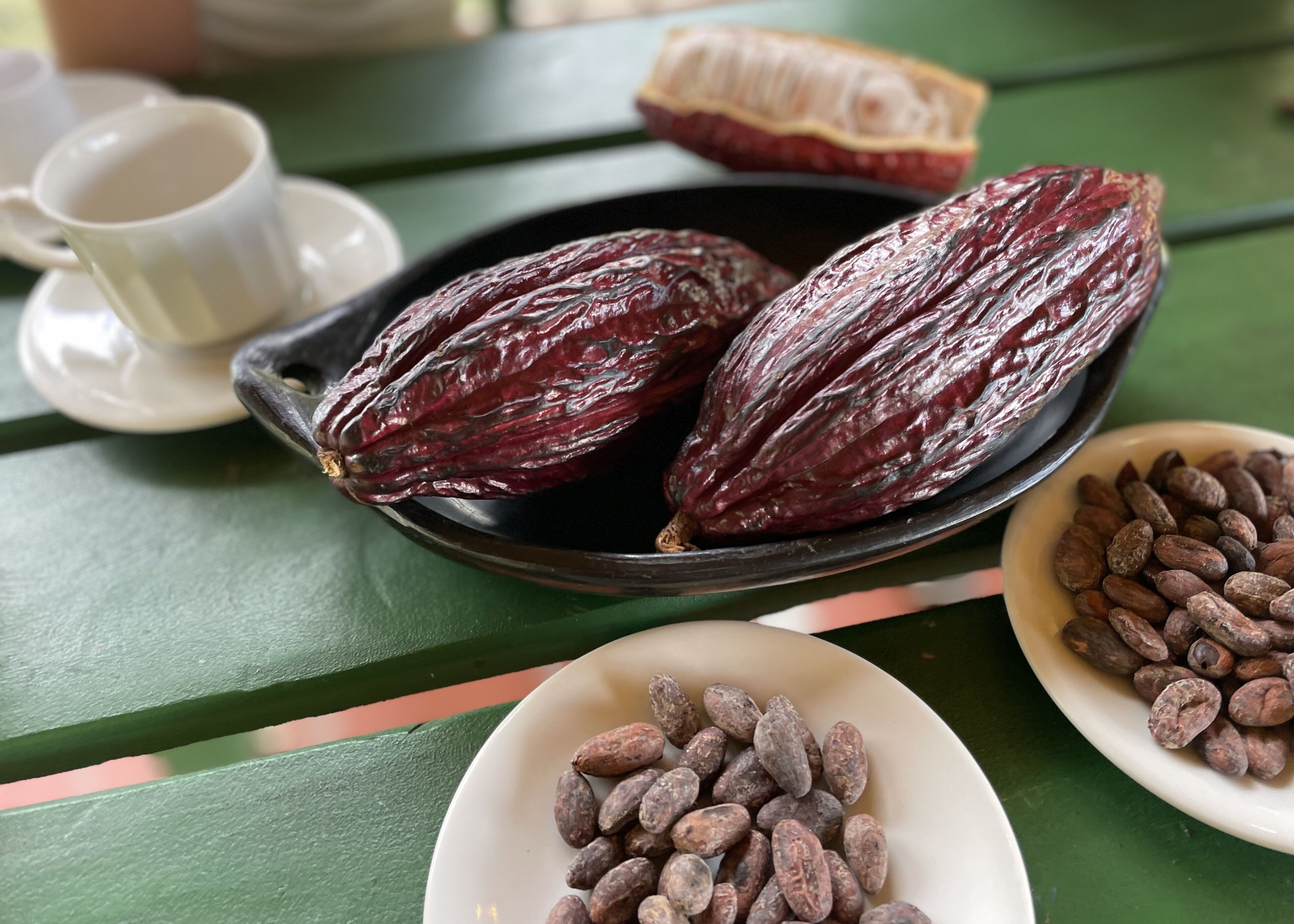 Una mesa con un plato de granos de cacao, un tazón de nibs de cacao y una taza de café.