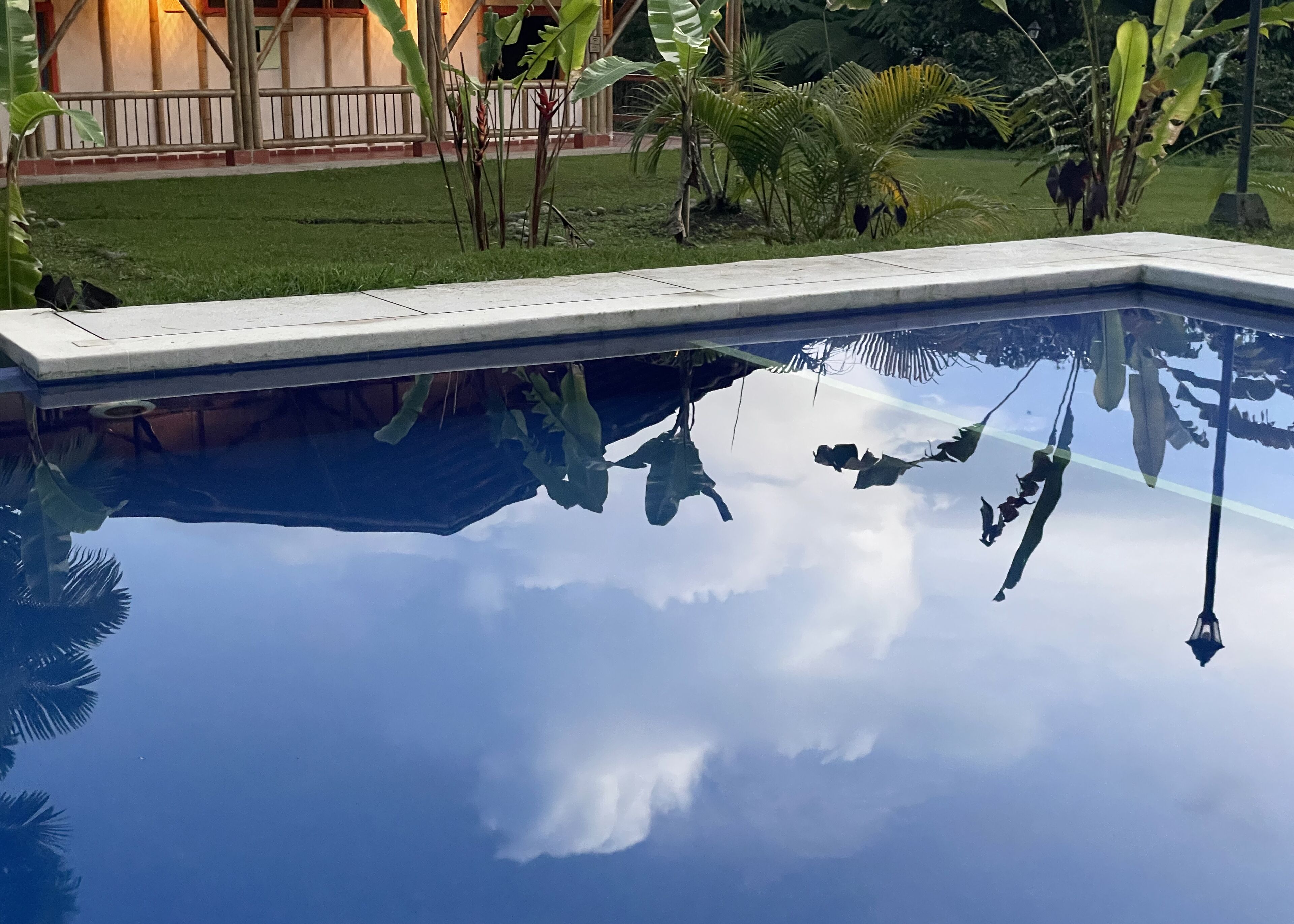 A swimming pool with clear water reflecting the sky and surrounding greenery.