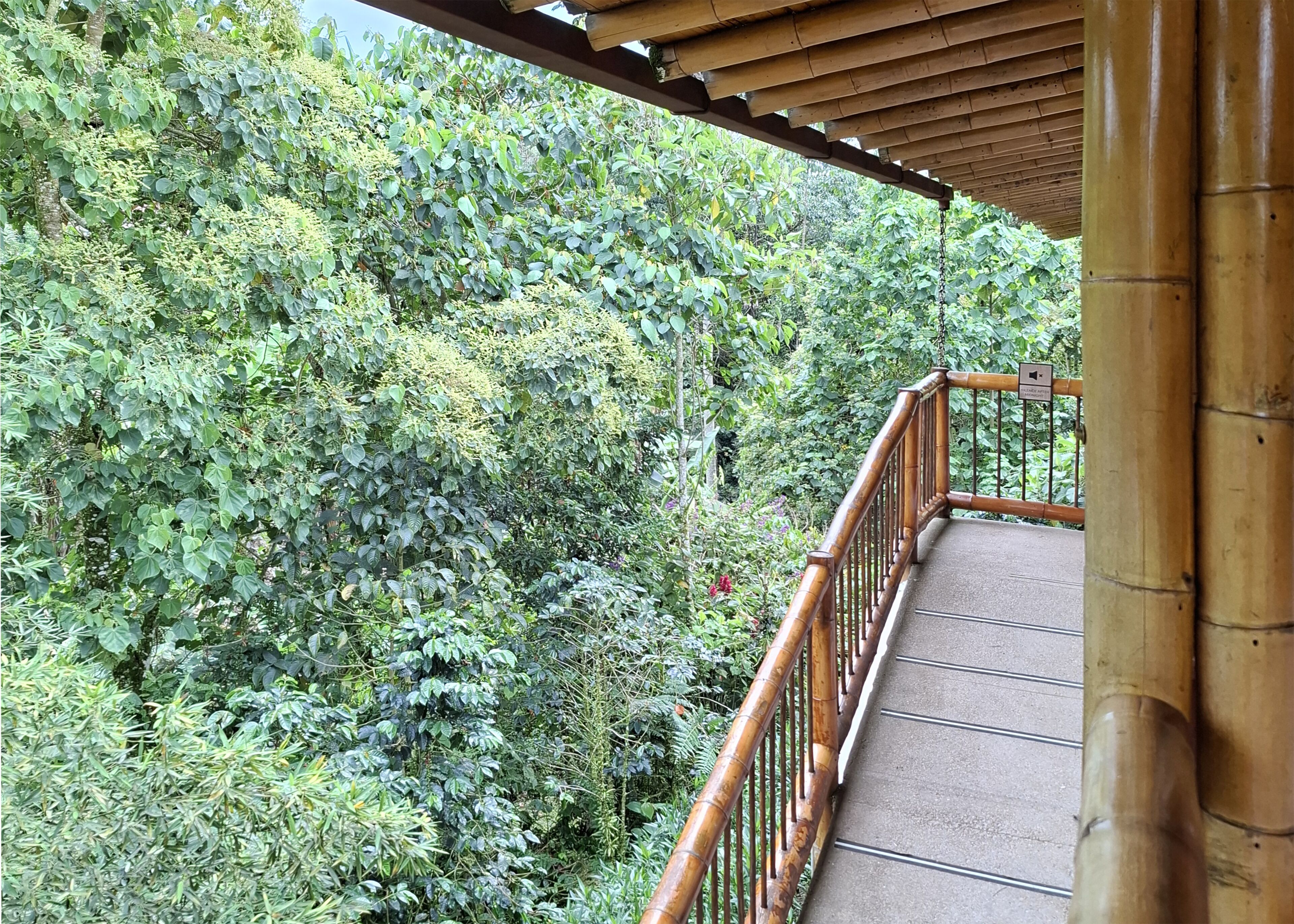 A wooden balcony with a metal railing overlooking dense foliage.