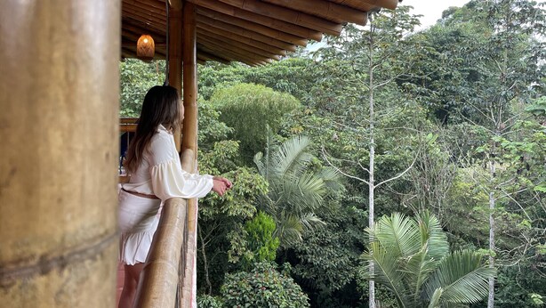 Una persona de pie en un balcón de madera con vistas a una densa vegetación tropical.