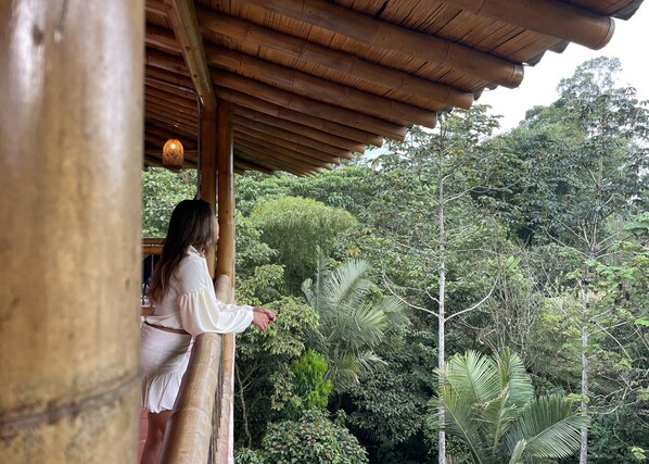 Vue sur la campagne depuis l’hébergement
