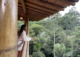 Land view from property