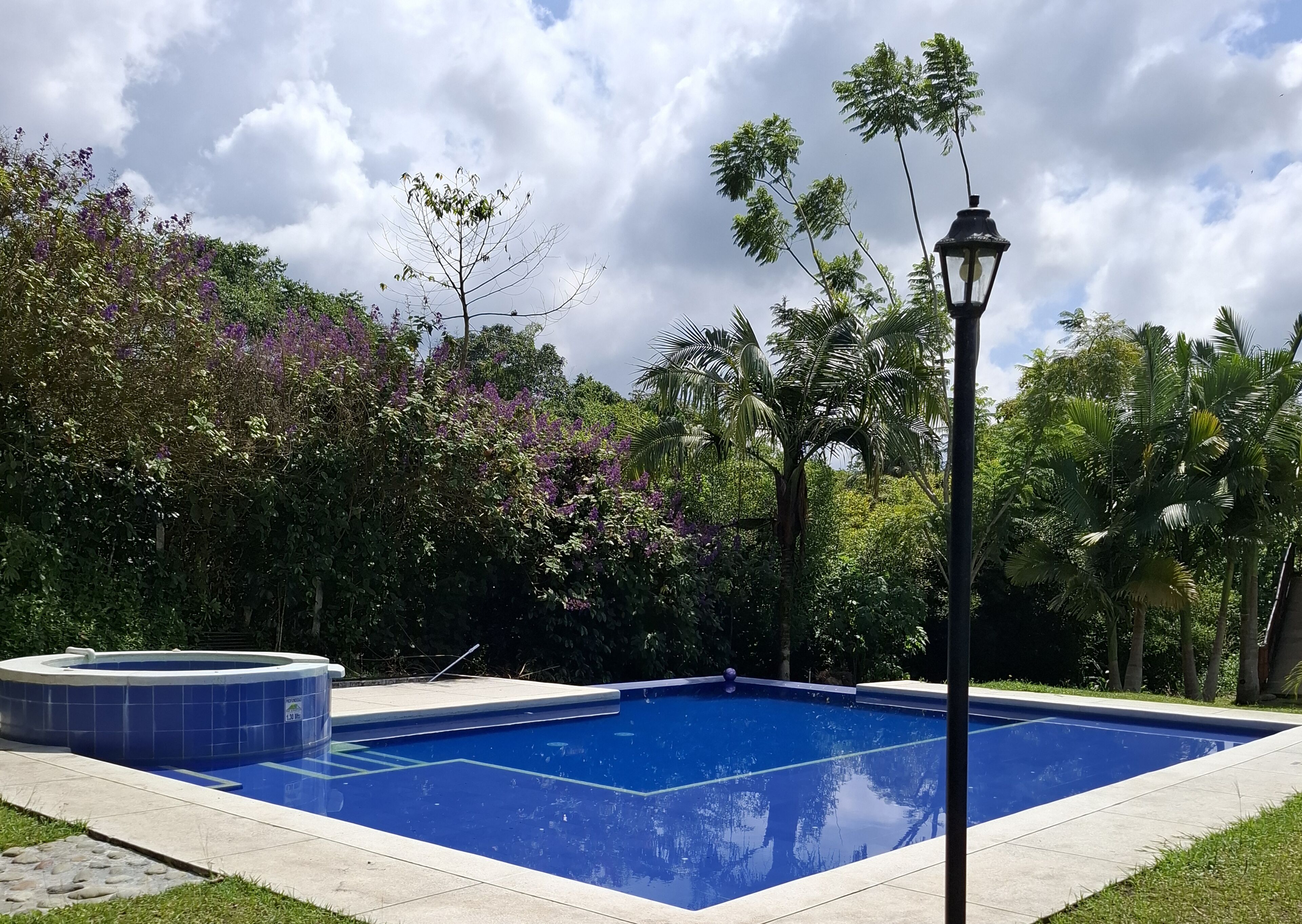 Piscina rodeada por vegetação exuberante e uma banheira de hidromassagem.