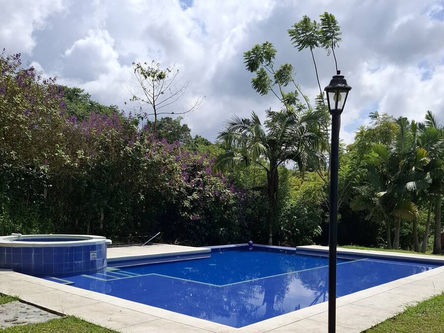 Piscina rodeada por vegetação exuberante e uma banheira de hidromassagem.