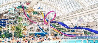 Stylish Euro Vibes Home | Gym | AC | Yard | Office