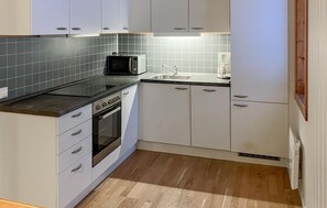 Fridge, stovetop, dishwasher, coffee/tea maker