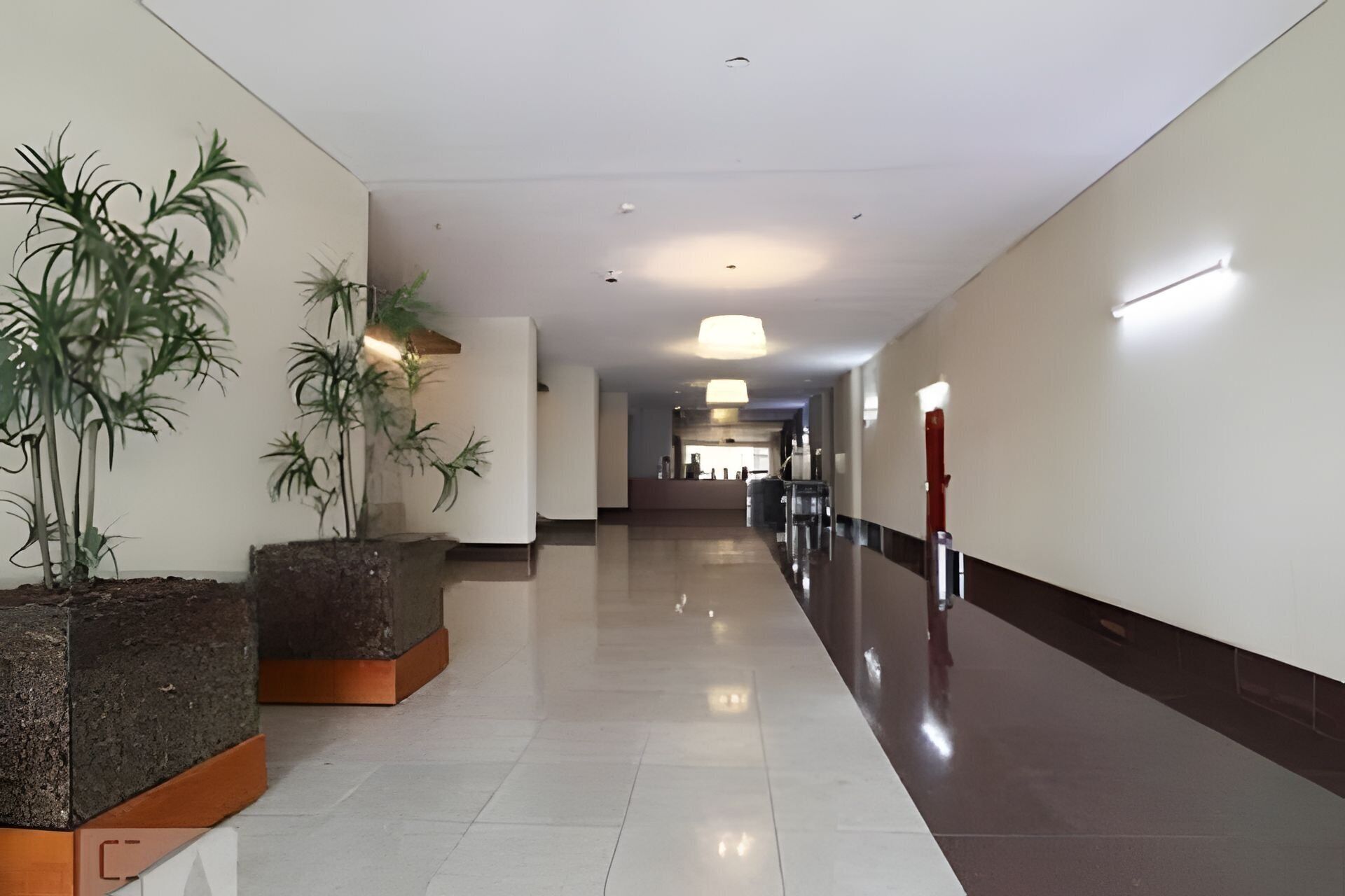 Un pasillo moderno de hotel con piso pulido, plantas en macetas y una recepción a lo lejos.