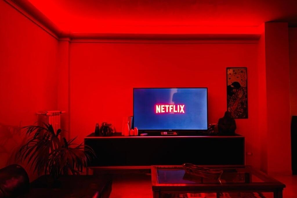Un salon avec un téléviseur dont l’écran affiche le mot « NETFLIX », un canapé, une table basse et une plante.