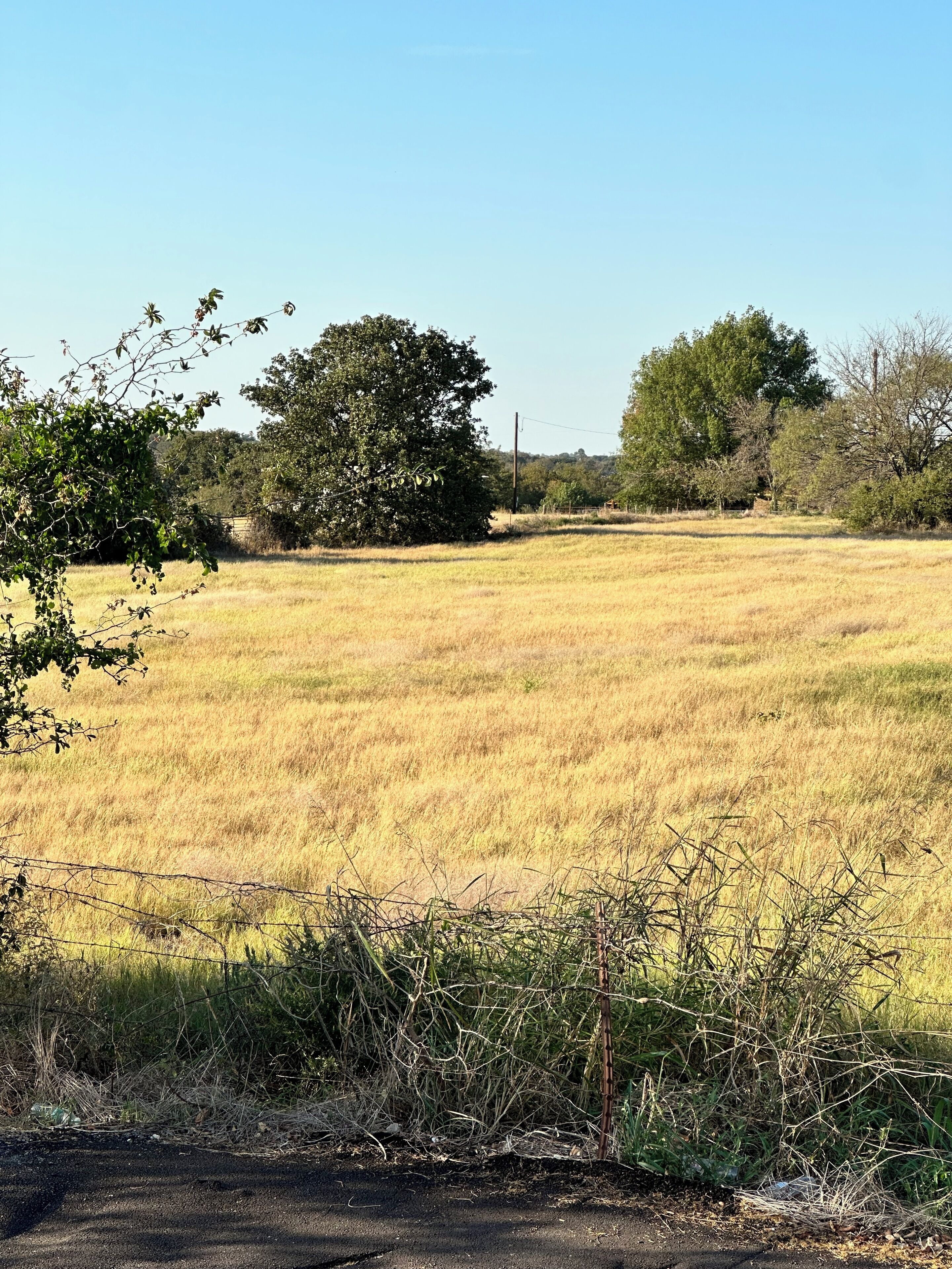 Een veld met een hek, bomen en een heldere lucht.