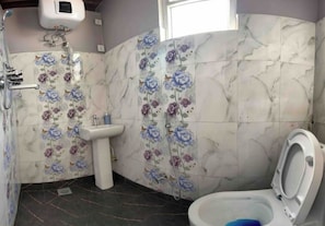 Shower, hair dryer, soap, toilet paper