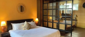 Spacious 750 sq ft. Industrial BOHO studio