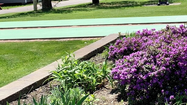 A park with blooming trees, a green walking path, and purple flowers. - Elmwood Motor Court (Old Orchard Beach)