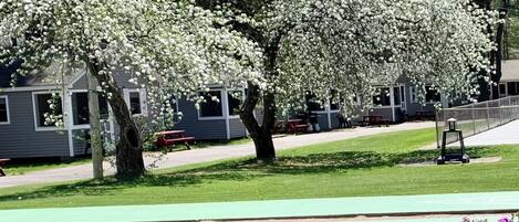 Terrein van de accommodatie