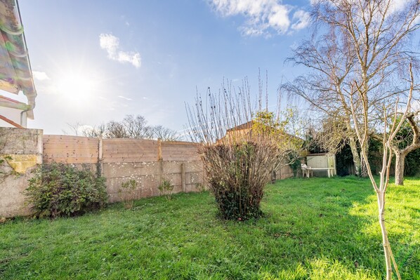 A grassy backyard with a brick wall, a small bush, and a tree.