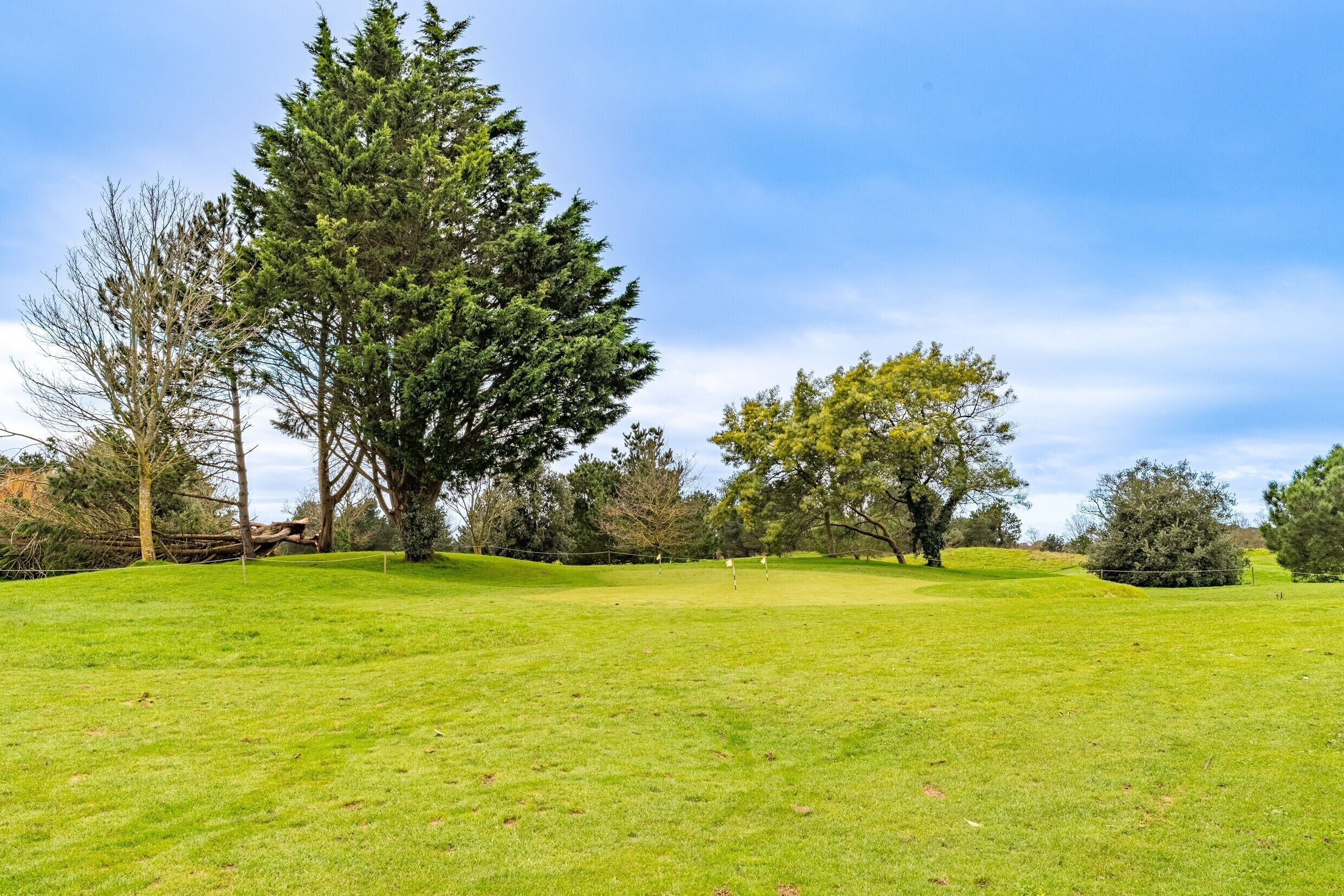 A golf course with a large tree, a fence, and a clear sky.