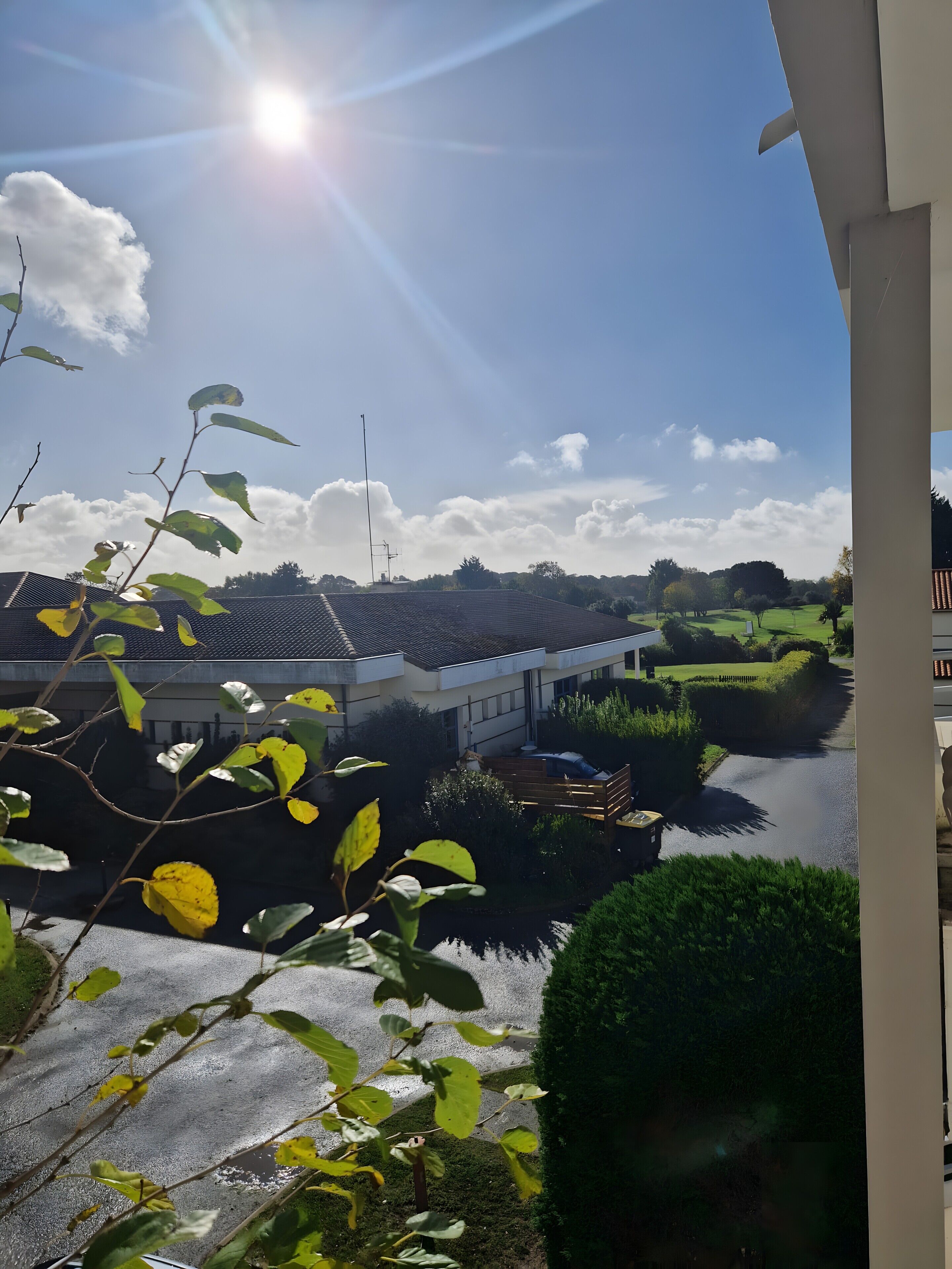 Blick auf ein Gebäude mit flachem Dach, ein Gewässer und Grün im Hintergrund.