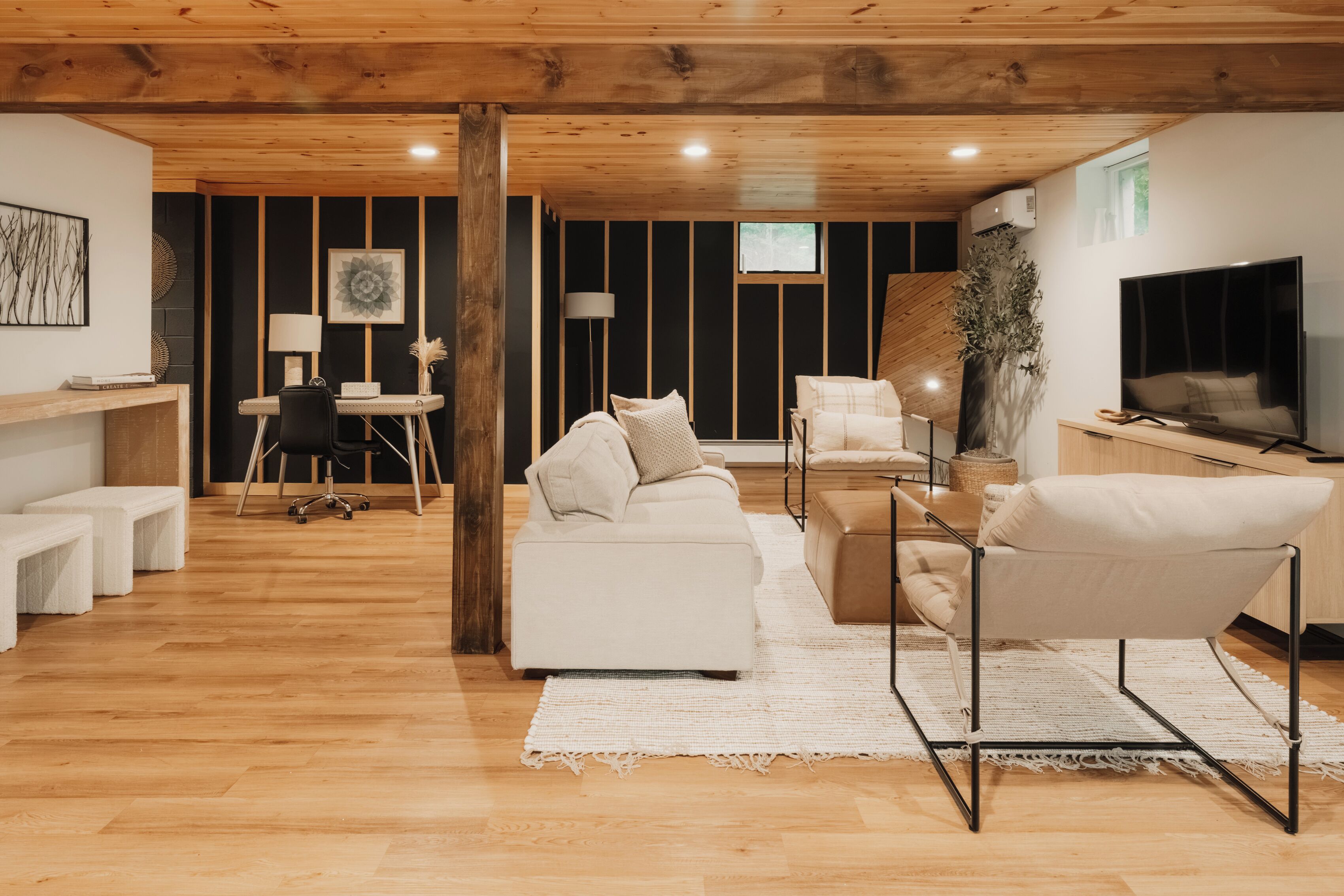 Smart TV, fireplace, books