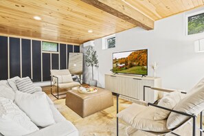 TV connectée, cheminée, livres