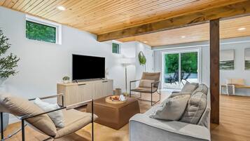Smart TV, fireplace, books