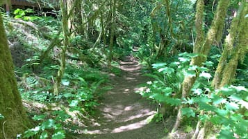 Cabin, 2 Bedrooms, Smoking, Fireplace | Garden