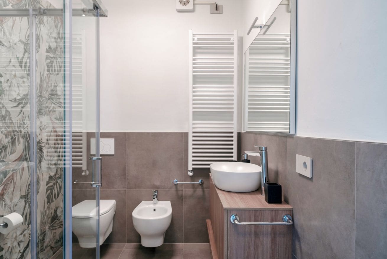 Ducha, secador de pelo, bidet, toallas