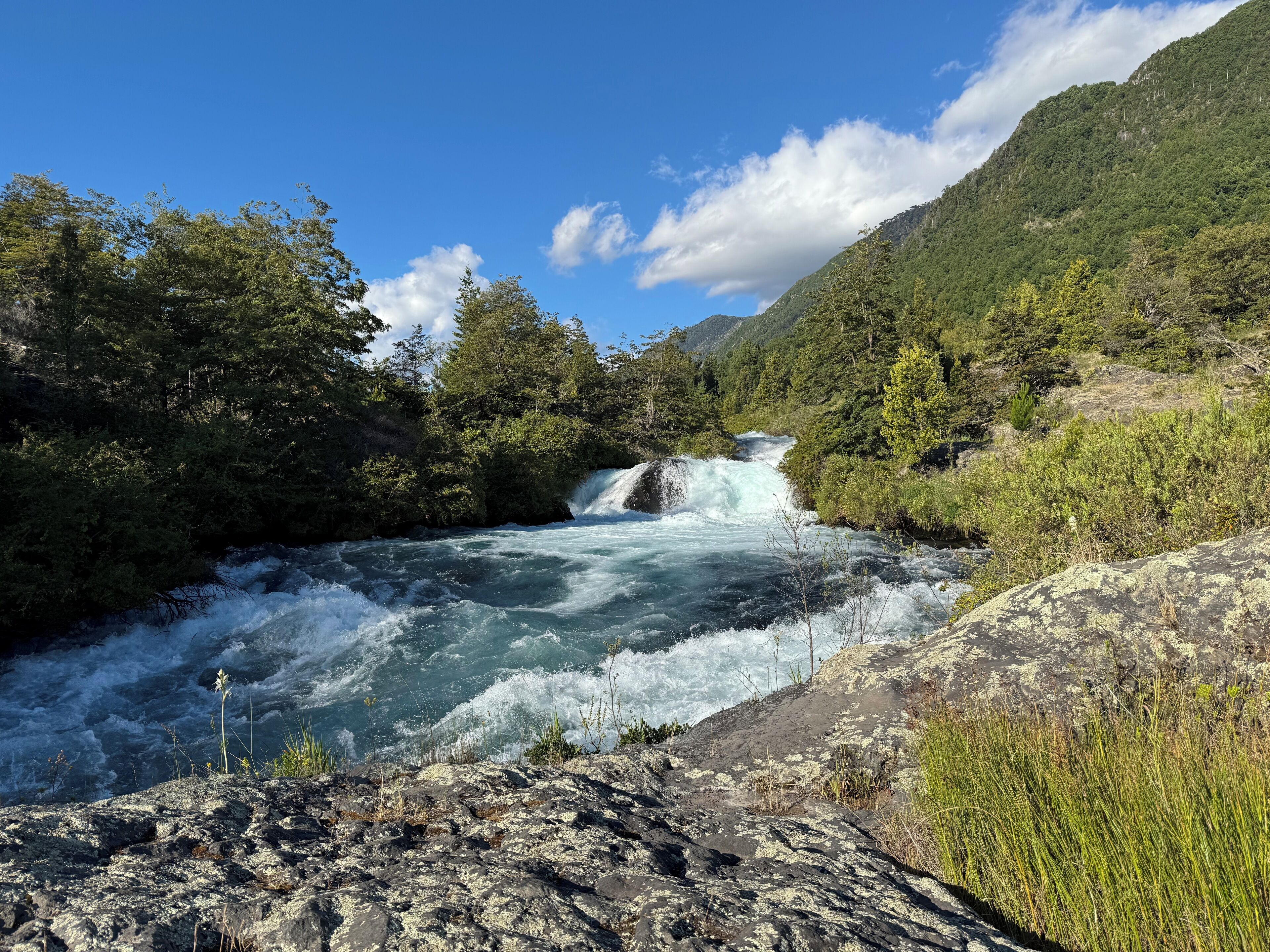 Un río con una cascada rodeada de un bosque denso y terreno rocoso.