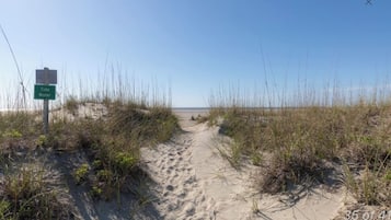 On the beach