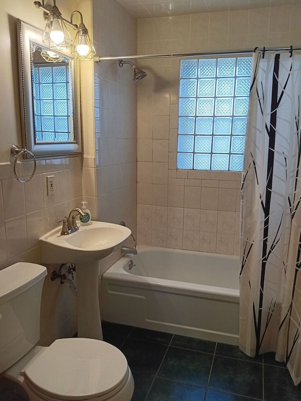 Hair dryer, towels, soap, toilet paper