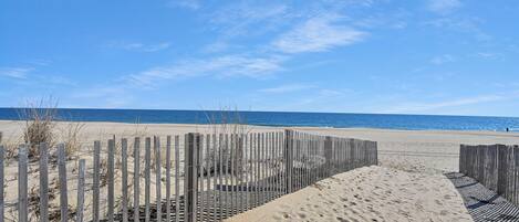 Playa en los alrededores
