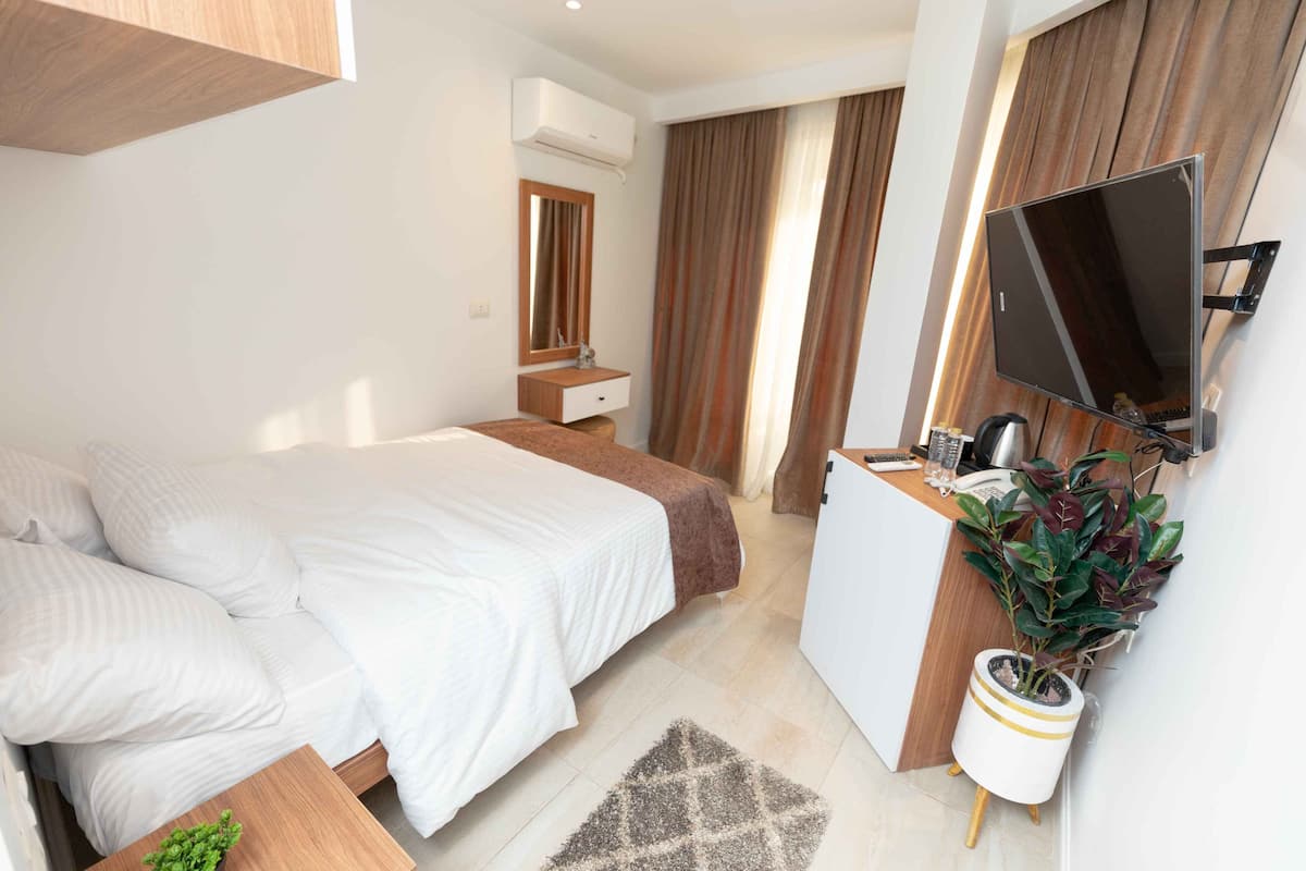 A hotel room with a bed, a desk, a TV, and a plant.