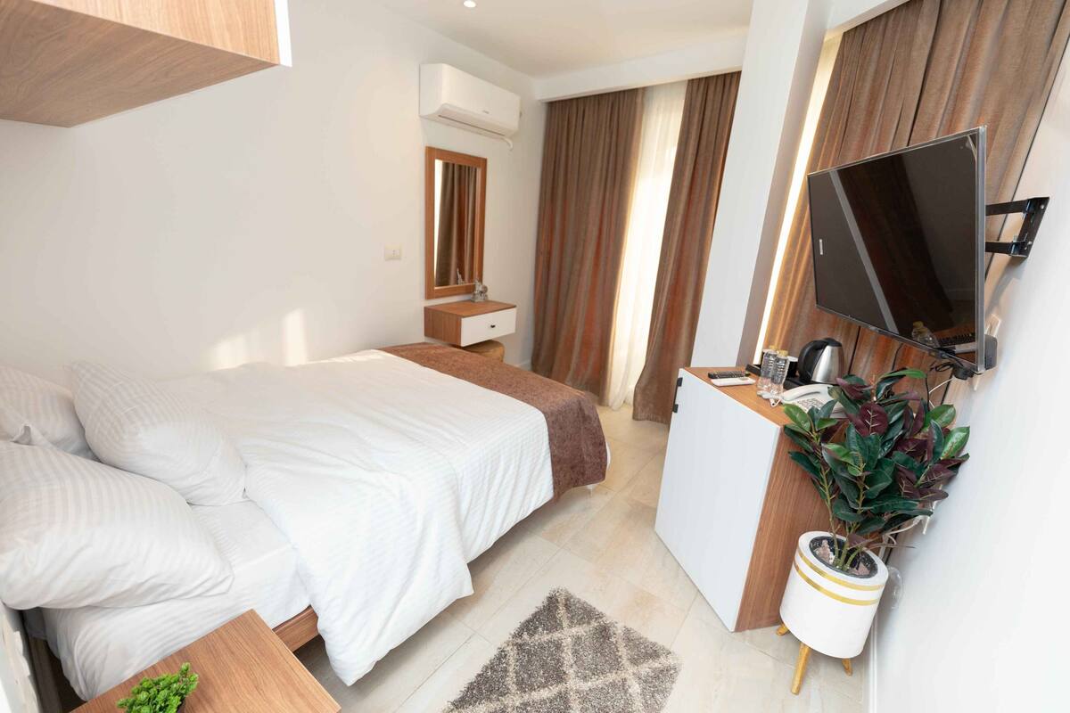 A hotel room with a bed, a desk, a TV, a plant, and a mirror.
