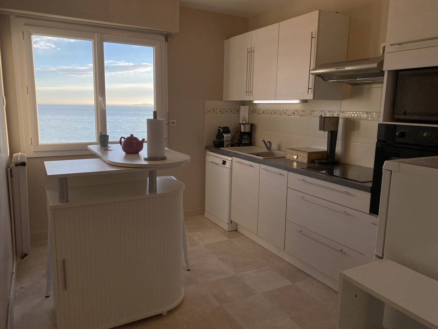 Fridge, oven, toaster, cookware/dishes/utensils