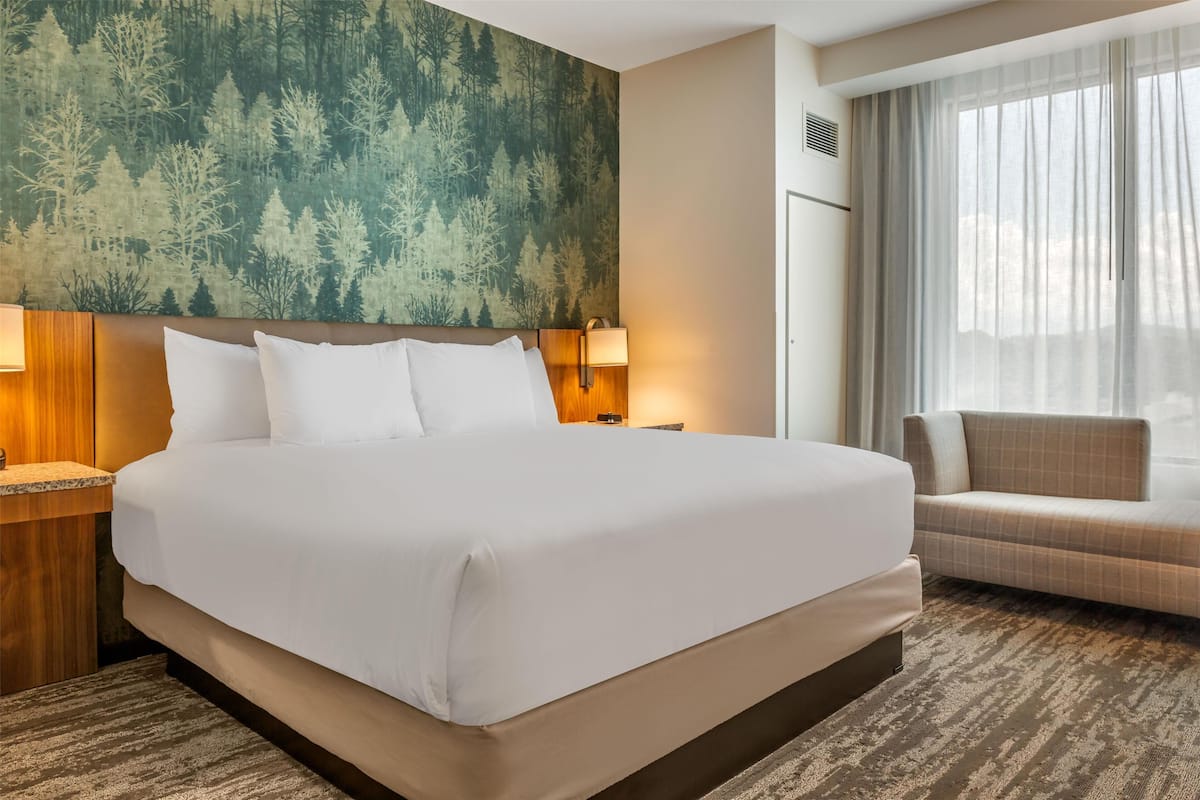 A hotel room with a large bed, a headboard with a forest-themed wallpaper, a bedside table with a lamp, a sofa, and a large window with curtains.