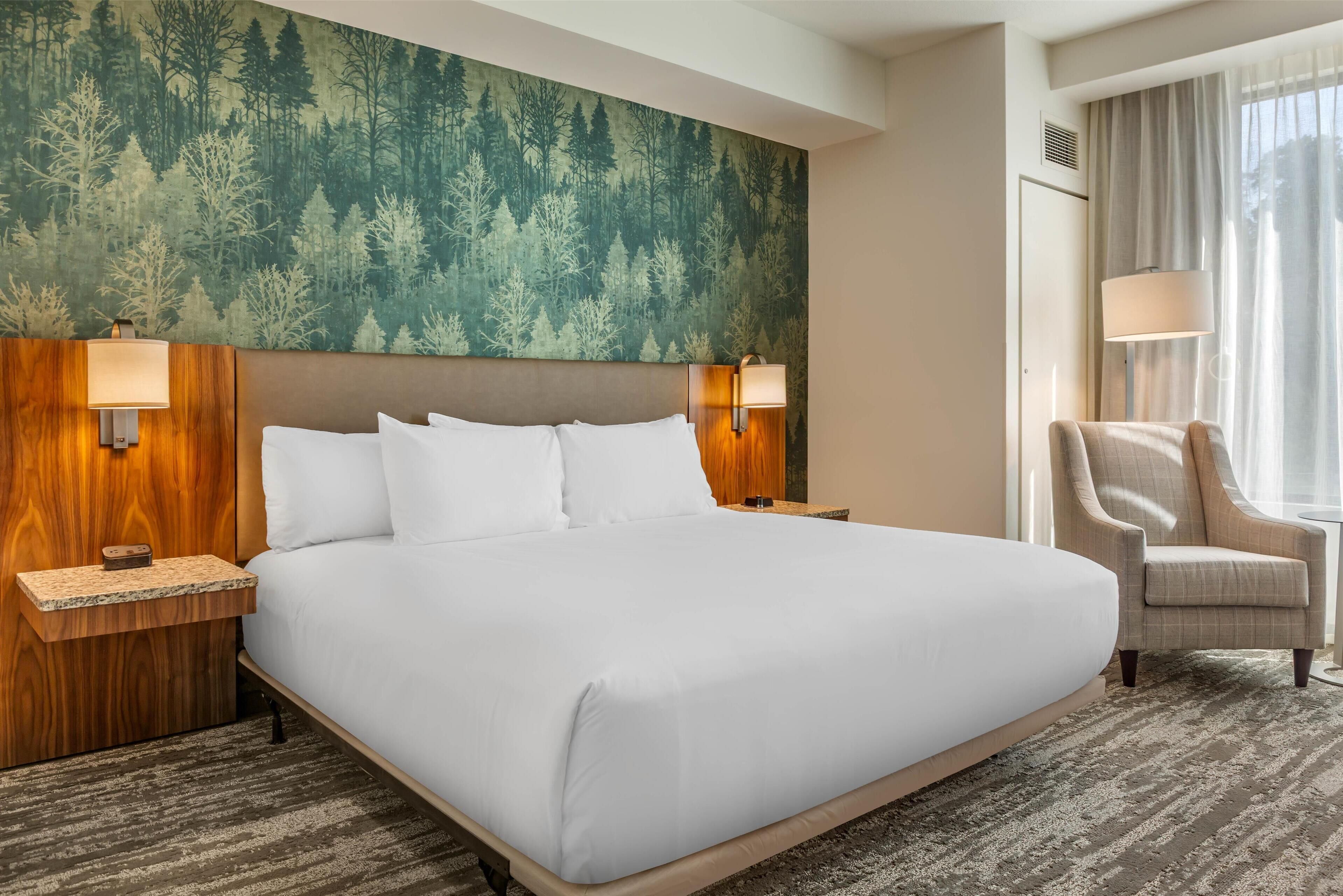 Premium bedding, iron/ironing board, free cribs/infant beds, free WiFi