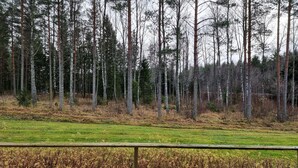 Un área boscosa con un campo cubierto de hierba y una valla de madera al frente.