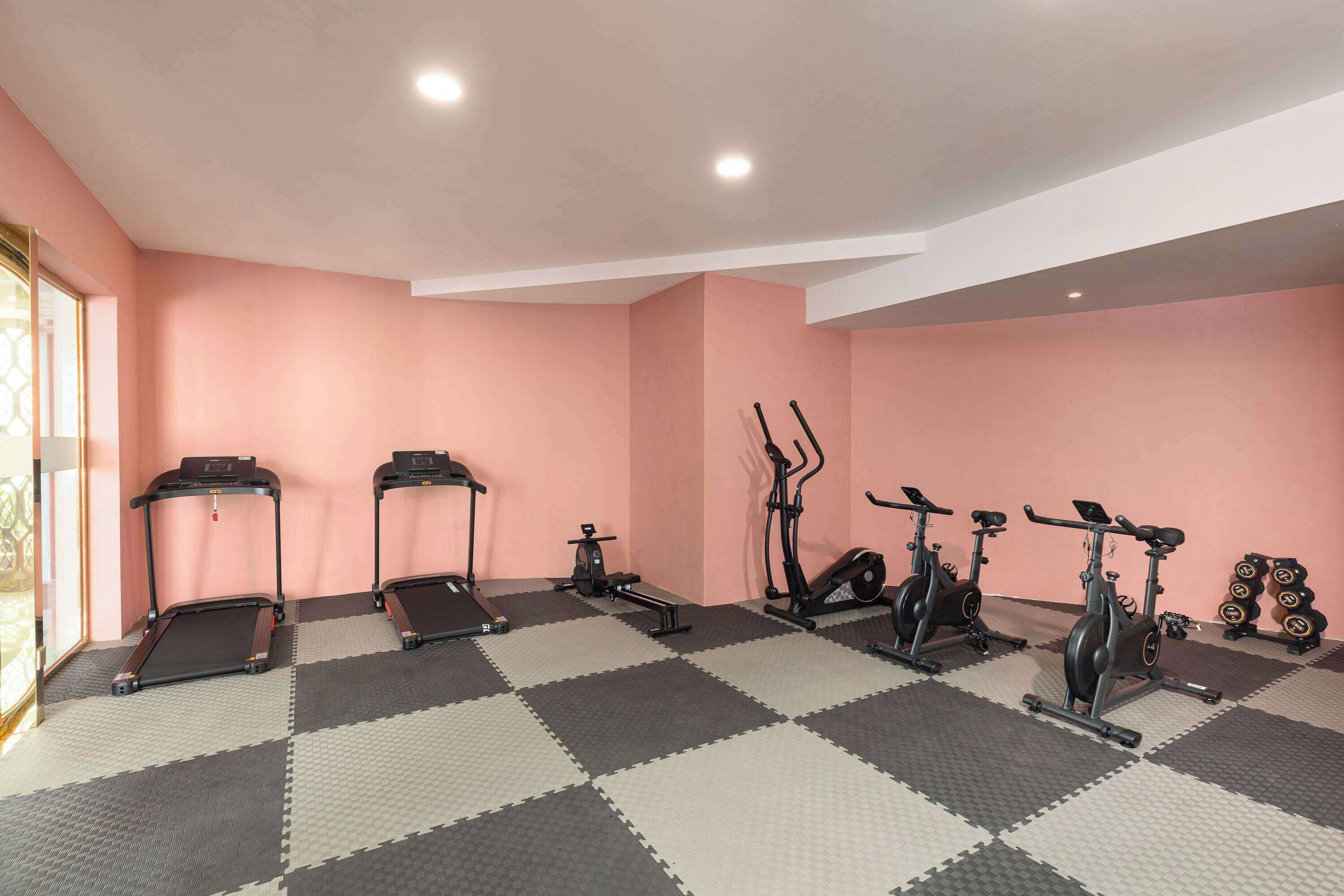 A gym with treadmills, elliptical machines, and dumbbells.