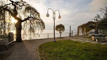Terras